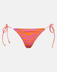 Reina Olga Slip bikini Miami con stampa zebrata Multicolore