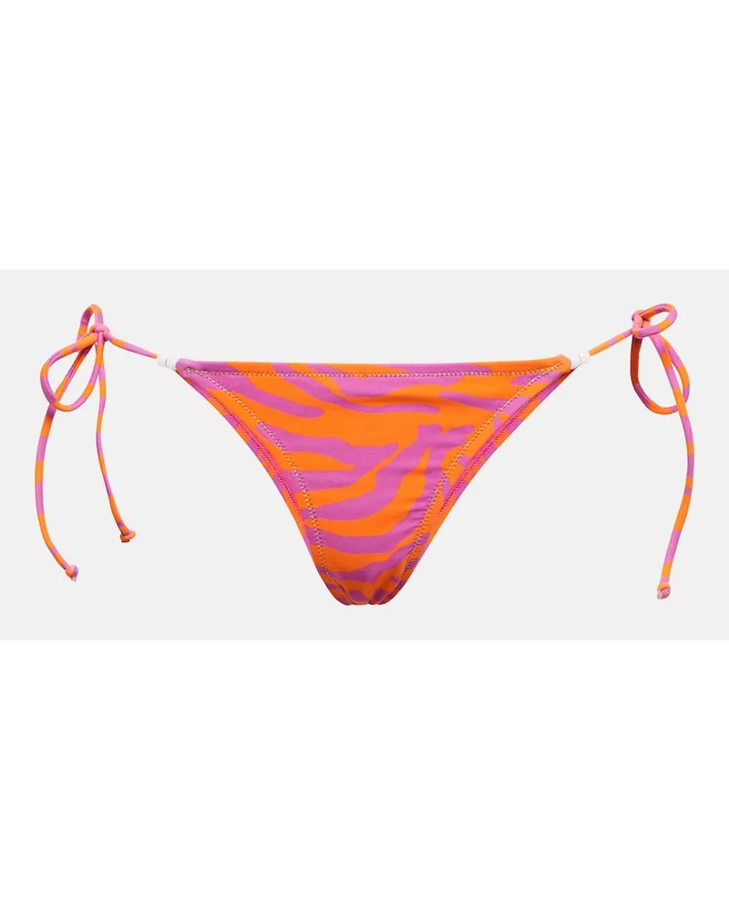 Reina Olga Slip bikini Miami con stampa zebrata Multicolore