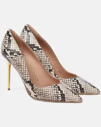 Balmain Pumps Ruby in pelle con stampa pitone Multicolore