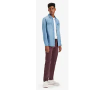 Pantaloni XX Chino standard affusolati Rosso / Allspice Arment Dye
