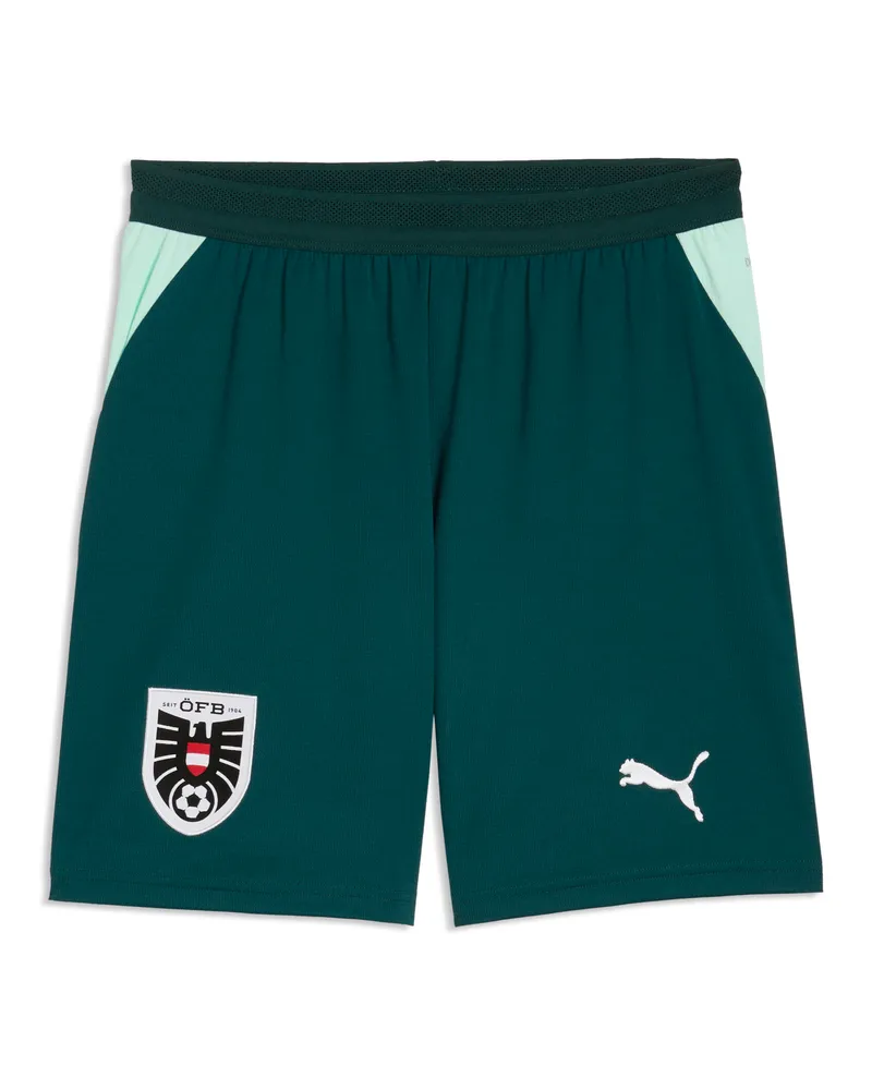 Puma Shorts Austria 2026 da uomo, Accessori, Verde Green