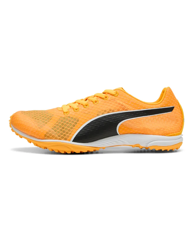 Puma Scarpe da running evoSPEED Haraka 8 senza tacchetti unisex, Scarpe, Arancione Orange